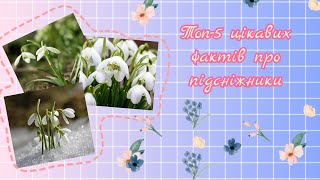 Топ-5 фактів про підсніжники / АДЕЛЬ /🌱🌼