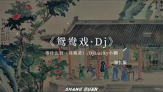 鸳鸯戏－DJ小鹏