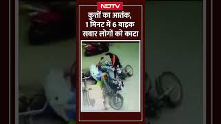 Madhya Pradesh में कुत्तों का आतंक, 1 मिनट में 6 बाइक सवार लोगों को काटा | Viral Video | CCTV | MP