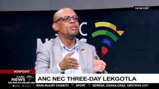 ANC NEC Lekgotla is currently sitting in Irene, Pretoria: Pule Mabe