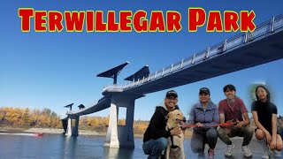 Terwillegar Park || Off-Leash Dog Park || Bisdacan Orangetv