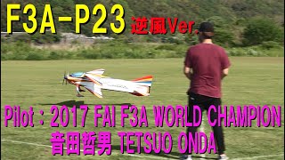 F3A-P23 逆風Ver.【ラジコン飛行機】