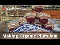 How to Make Organic Plum Jam