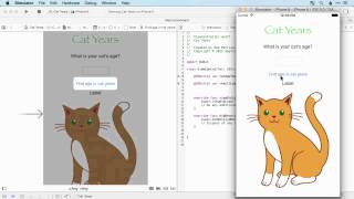 3 7 Complete iOS9 Developer Course - Chapter1: AppCatYears