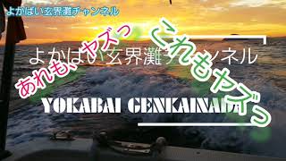 「落とし込み10」やっぱり楽しい！釣れまくった！