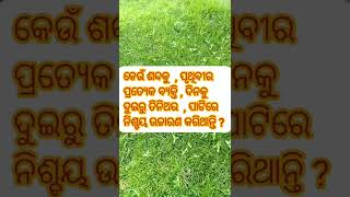 କେଉଁ ଶବ୍ଦକୁ ସମସ୍ତେ ପ୍ରାୟ ଦିନକୁ ତିନିଥର ରୁ ଉର୍ଦ୍ଧ ଉଚ୍ଚାରଣ କରିଥାନ୍ତି//ଜାଣିବା କଥା//ଲୋକ କଥା//gk