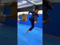 8 taekwondo kicks 8 best tricks