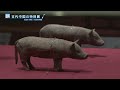 兵馬俑と古代中国【starcat ウィークリー】2022年9月22日放送