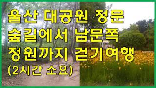 [울산에서 걷기 좋은 길] 울산대공원 정문 숲길에서 남문쪽 정원까지 걷기