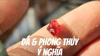 Những đơn hàng giám định cùng số đá thô sắp mài