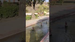 Kanak Vrindavan garden, Jaipur