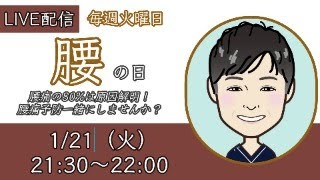 【LIVE配信】腰の日｜腰痛改善！一緒に取り組むセルフケア「第15回」