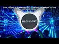 Steve Angello vs. Funkagenda vs. Lil Jon-What The Knas vs. Get Low (NEOPLANET Mashup)