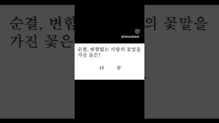 초성퀴즈 정답은?