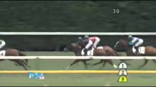 2013年 2歳新馬 / マーブルカテドラル