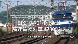 EF210-901(岡)牽引 高速貨物列車 臨8052レ