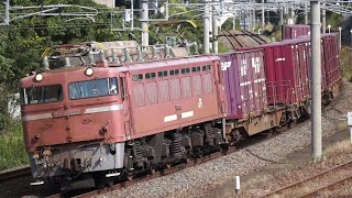 EF81-403 1063レ(代走)