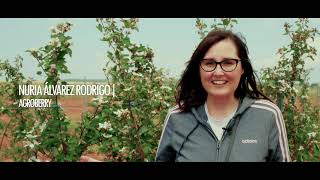 VIDEO 1 ELLAS INNOVAN Agroberry