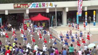 夢舞隊　～2011堺よさこいかえる祭り(噴水前広場)