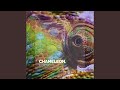 Chameleon