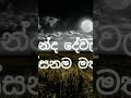 hithin winda dewal thama lassanama mathaka හිතින් වින්ද දේවල් 💞🎶 shorts songs tiktok status