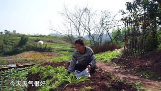 冬日暖阳，夫妻俩带上酸辣粉去钓鱼，美食和快乐相伴的 冬日暖阳