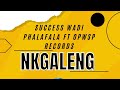 NKGALENG Success wadi phalafala ft OPWSP Records