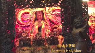 樹林中聖壇 Forest is HolyAltar