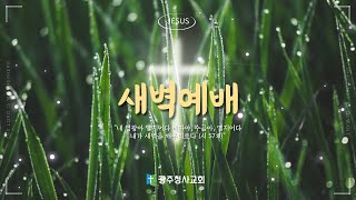 광주청사교회 매일 새벽예배(월~금) | 2025.01.24