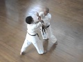 Gekisai Dai Ichi Renzoku Bunkai, Taira Masaji Sensei