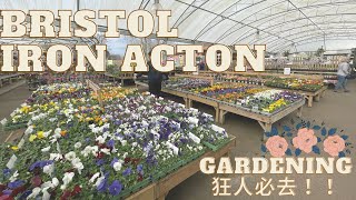 [移民英國🇬🇧英倫探索]Bristol超大園藝中心！🍀誤打誤撞入到去發現超好行？！佈置花園必去| 自己種無花果？🪴|英國布里斯托好去處