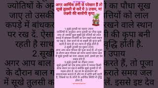 अगर आर्थिक तंगी से परेशान हैं तो सूखे तुलसी से करें ये 3 उपाय, मां लक्ष्मी की बरसेगी कृपा🙏🏻#tulsimaa