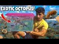 Catching EXOTIC OCTOPUS Out Of TIDE POOL For AQUARIUM!!