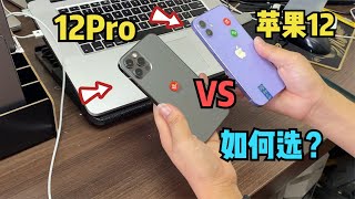 iPhone 12 Pro 对比 iPhone 12 怎么选？只差6张，各项分析有答案