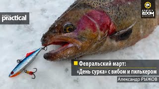 Февральский март: «День сурка» с вибом и пилькером. Александр Рыжов. Anglers Practical