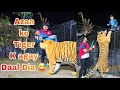 Azan ko mene Tiger k Agay Daal Dia 😅 | Azan Wants to Take Pictures With My Tiger | Nouman Hassan |