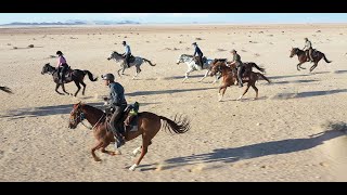 Namibia Horse Safari 2021- time2ride-time4ride