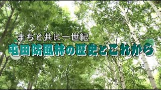 札幌ふるさと再発見　６月４日放送　まちと共に一世紀　屯田防風林の歴史とこれから