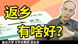 留在大城市还是回老家?为什么我说未来年轻人会主动返乡？【复旦教授梁永安】