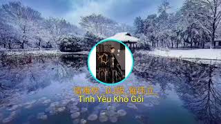 情难枕 _DJ版_（Tình Yêu Khó Gối)#崔伟立#抖音最好听的歌曲2022