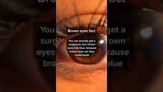 Brown Eyes Fact #shorts #facts