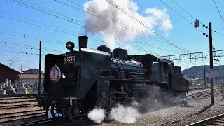 【さくらHM】春の大井川鐵道（新金谷編）【C56 44】20170403 JNR Class C56