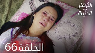 الأزهار الحزينة | الحلقة 66 كاملة | Kırgın Çiçekler