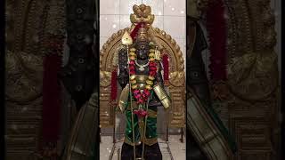 முருகனை நம்பியவர்கள் ஒரு போதும் கை விட படமாட்டார்கள் 🙏🏻🦚 #tamildevotionalvideos #maruthamalaimurugan