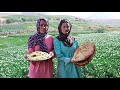 Rural life in Afghanistan | traditional food | traditional life | living the best life