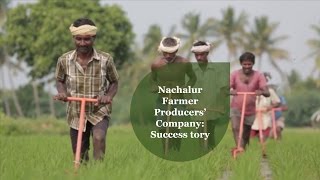 Nachalur Farmer Producers’ Company: Success Story