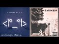 the lone slim shady caravan palace vs. eminem mashup