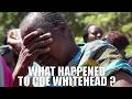 🔴 Cde Whitehead Explains How He Escaped Abduction