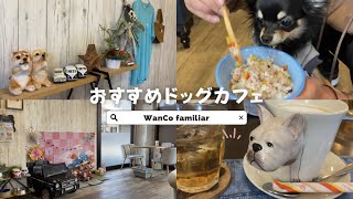 おすすめオシャレドッグカフェ【ワンコファミリア〜WanCo familiar〜】犬とお出かけスポット