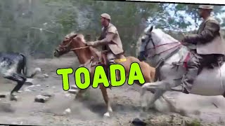 Toada quando amanhecer o Dia cantada por Potencia